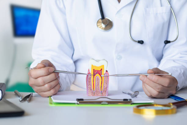 Best Urgent Tooth Repair  in Scott City, KS
